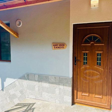 Guest House Tanevi Devín Zewnętrze zdjęcie