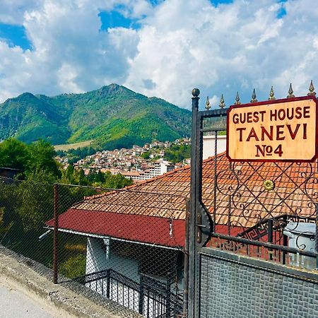 Guest House Tanevi Devín Zewnętrze zdjęcie