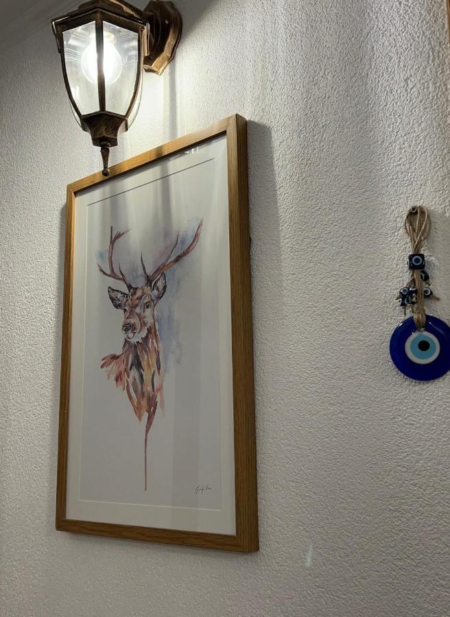Guest House Tanevi Devín Zewnętrze zdjęcie